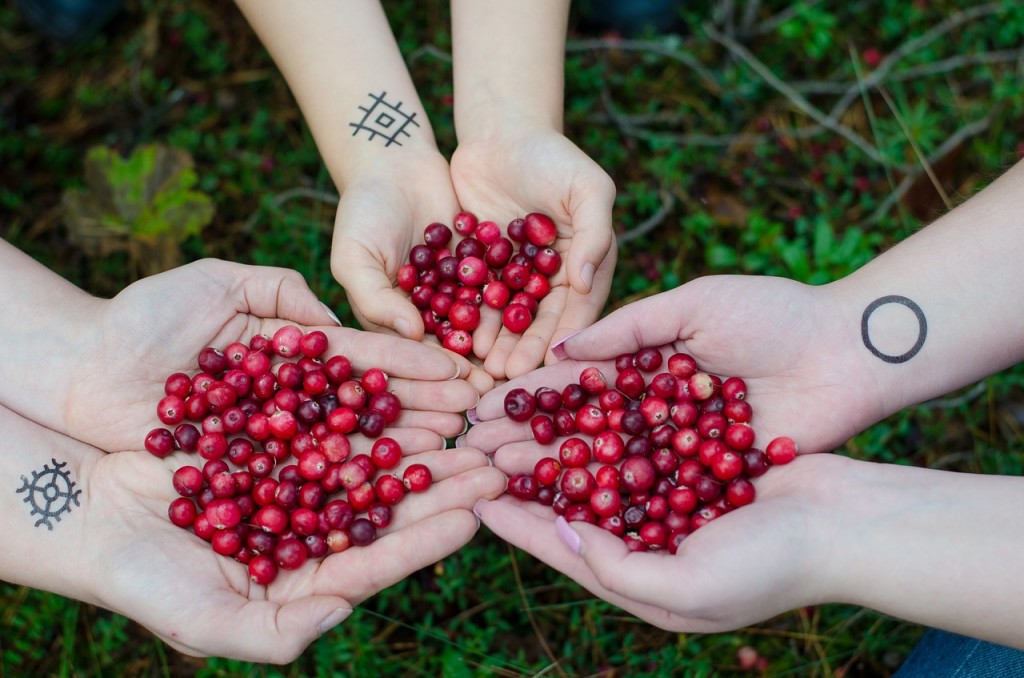 Thanksgiving Weekend Cranberries