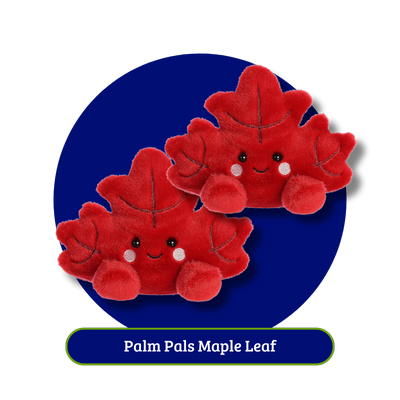 PalmPals-29-09-2025