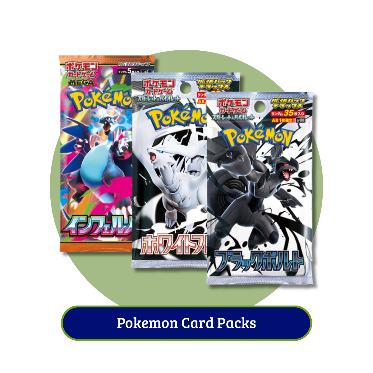 (11)Pokemon-12-01-2025