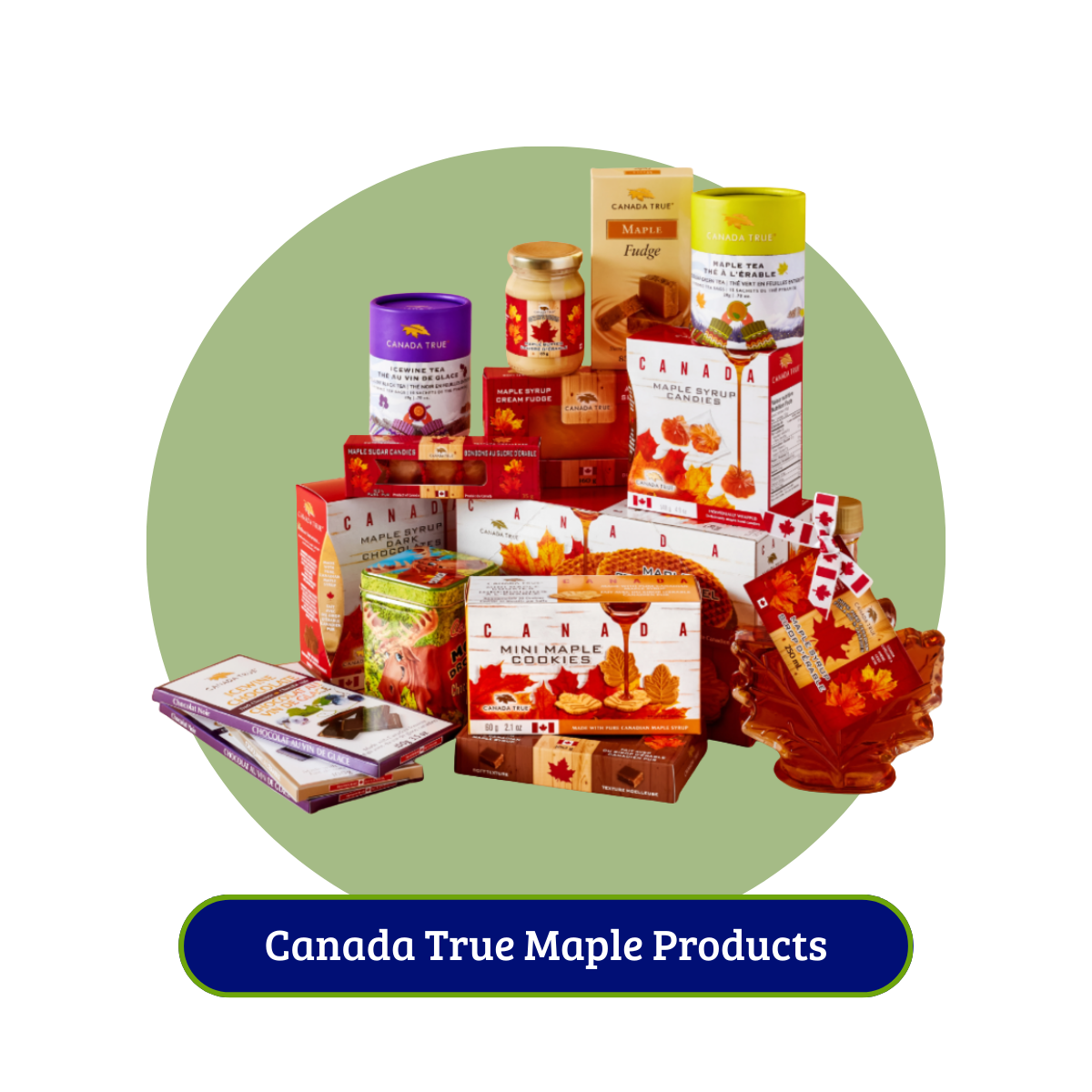 (9)TrueMaple-12-01-2025